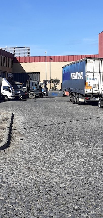 Sucata RDUZ - Gestão Global de Resíduos e Veículos em Fim de Vida em Póvoa de Varzim