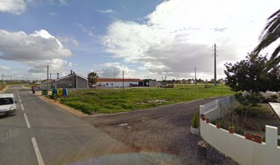Centro de abate ROCHAS 2 Sucata ReciForos em Salvaterra de Magos
