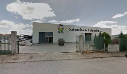 Sucata Salgueiro e Salgueiro Reparação Automovel Lda em Moimenta da Beira
