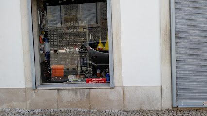 Sucata Silvestre - Santos Lda em Coruche