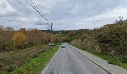 Sucata Tampinhas Rui Mário em Marco de Canaveses