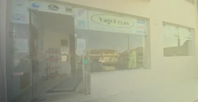 Sucata Vagopeças-Comércio de Peças Auto, Unipessoal, Lda. em Vagos